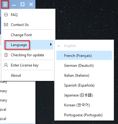 changing the interface language in MiniTool Partition Wizard