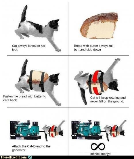 cats are infinite energy generators