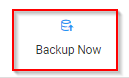 manually run backups in Backup Bird