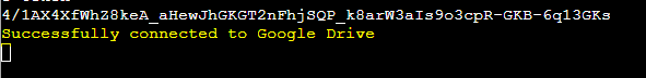 Google Drive connected successfully with Backup Bird