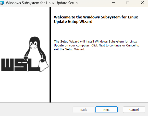 Running the WSL2 setup wizard