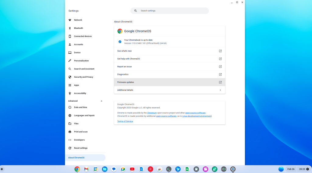 ChromeOS Flex settings