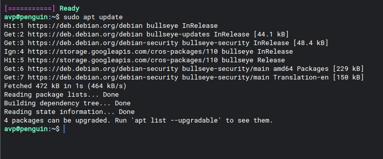 running updates through Terminal in ChromeOS Flex 