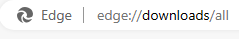 Accessing Edge downloads history