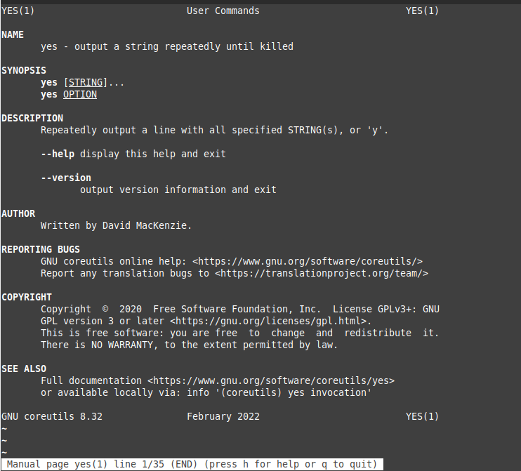man page for yes command 