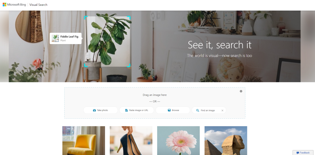 bing visual search