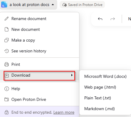 download proton docs documents as word, html, txt or markdown