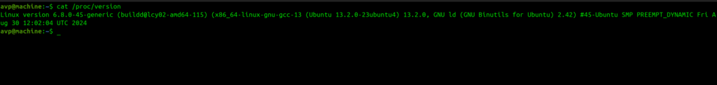 /proc/version file